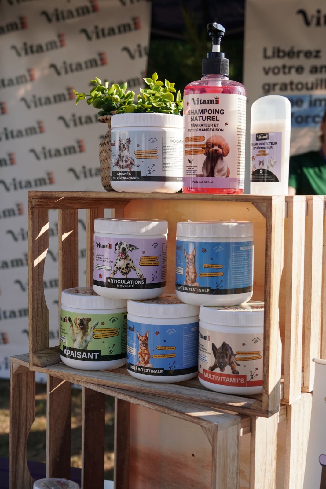 Vitamii - Image 1