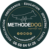 Agence immobilière Methodedog66